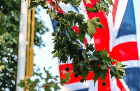 Grüne Zweige vor einer Großbritannien-Flagge